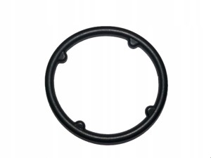 O-ring